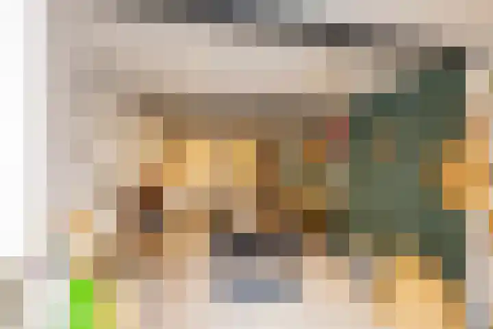 Hoendiep 300 Groningen thumbnail 43