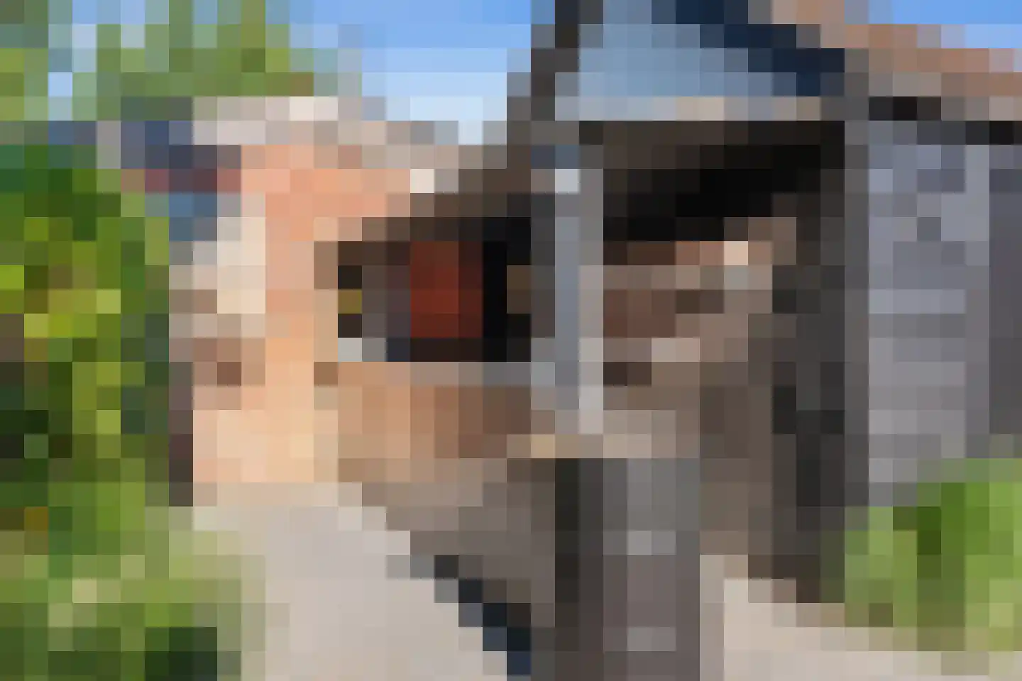Hoendiep 300 Groningen thumbnail 47