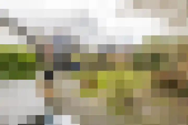 Hoendiep 300 Groningen thumbnail 48