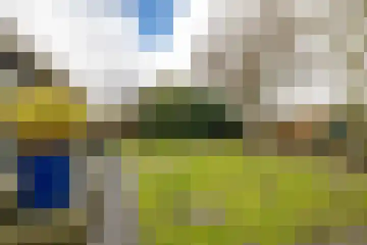 Hoendiep 300 Groningen thumbnail 49