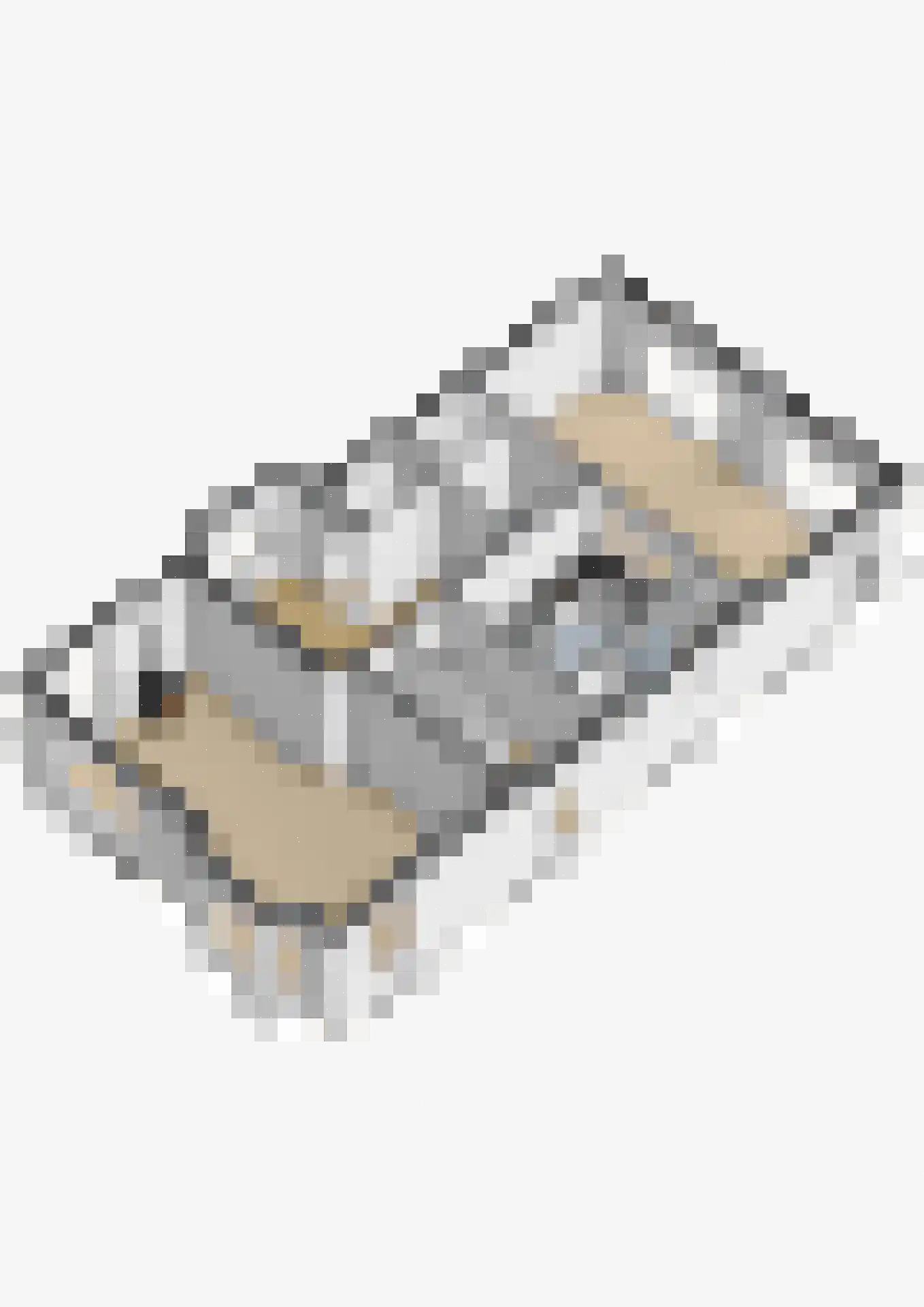 Hoendiep 300 Groningen thumbnail 50