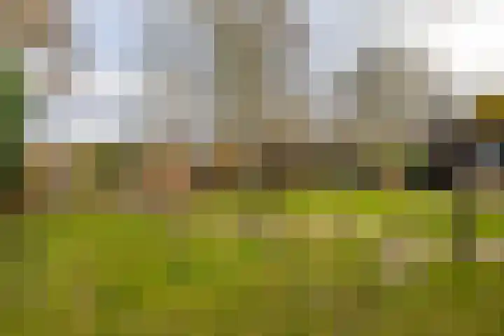 Hoendiep 300 Groningen thumbnail 50