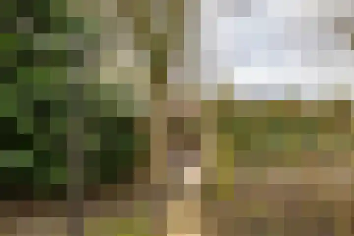 Hoendiep 300 Groningen thumbnail 51