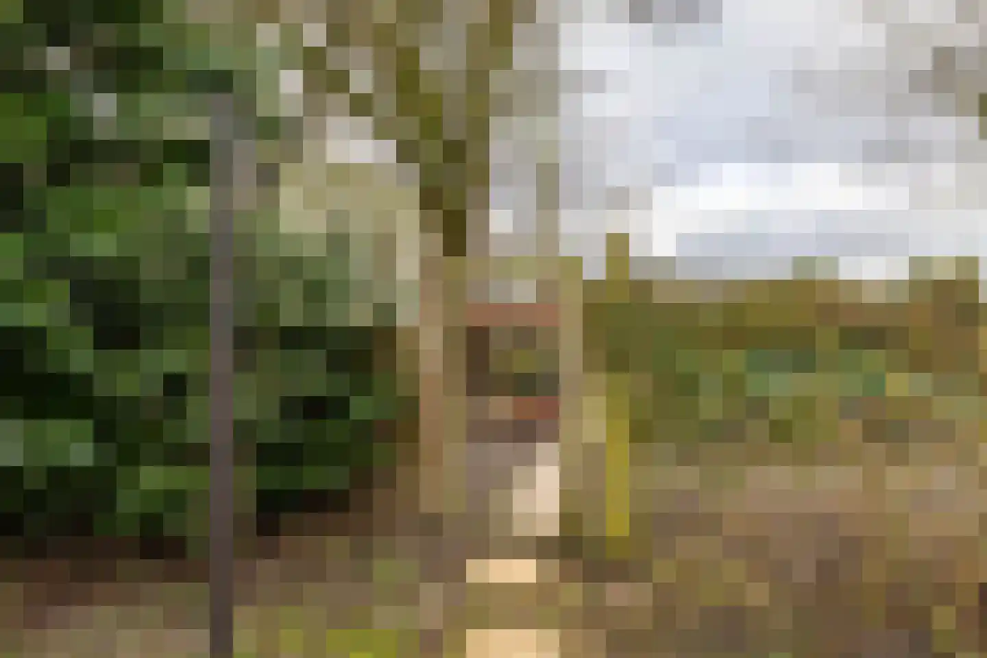 Hoendiep 300 Groningen thumbnail 51