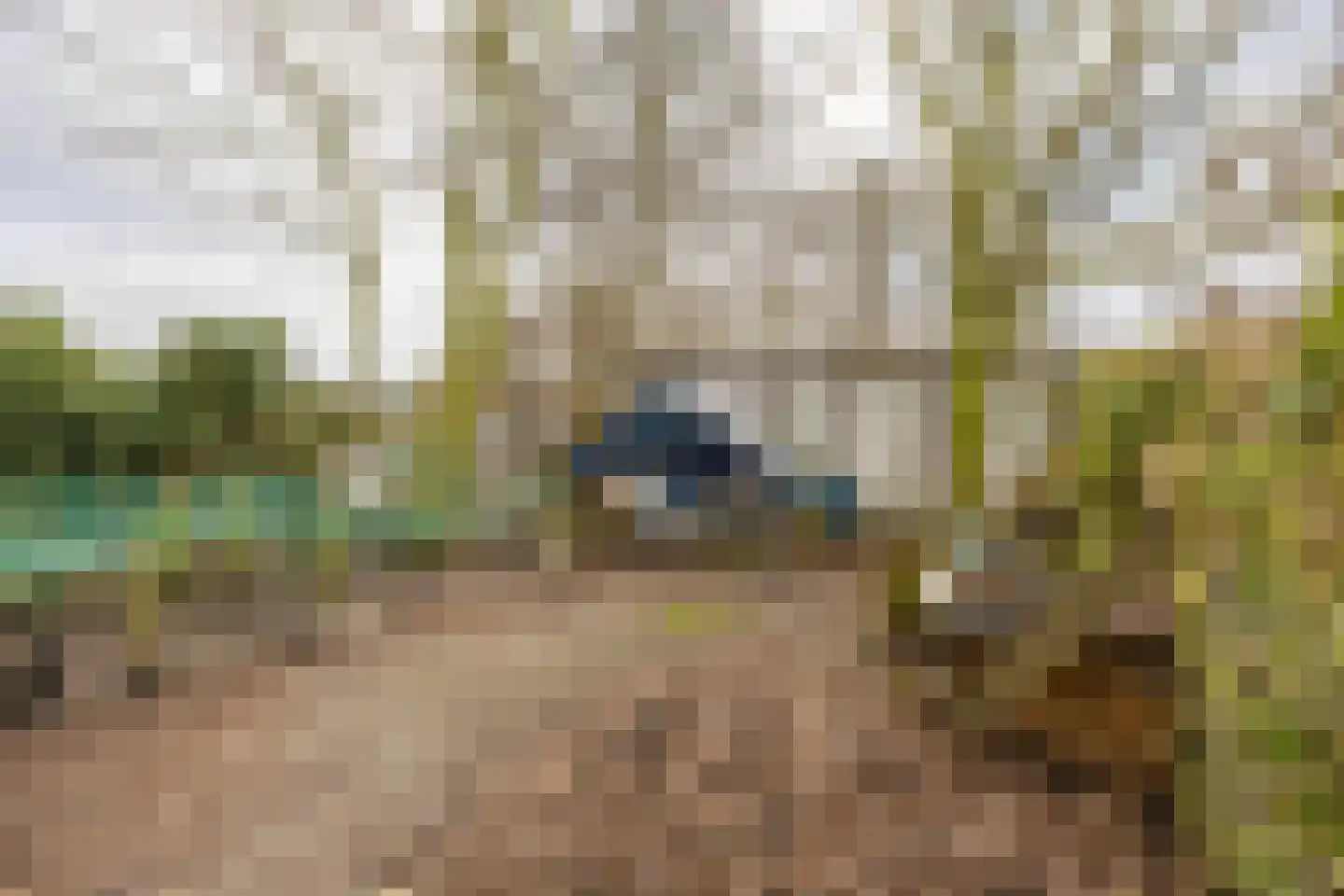 Hoendiep 300 Groningen thumbnail 52