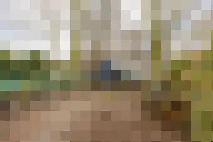 Hoendiep 300 Groningen thumbnail 52