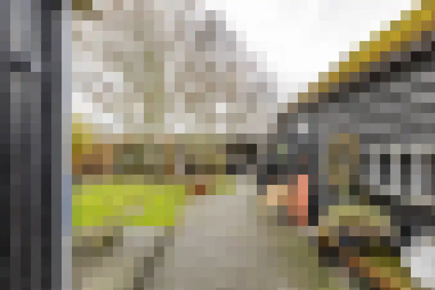 Hoendiep 300 Groningen thumbnail 54