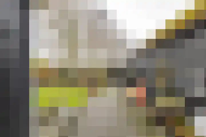 Hoendiep 300 Groningen thumbnail 54