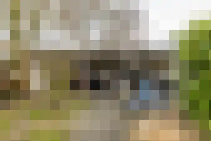 Hoendiep 300 Groningen thumbnail 55