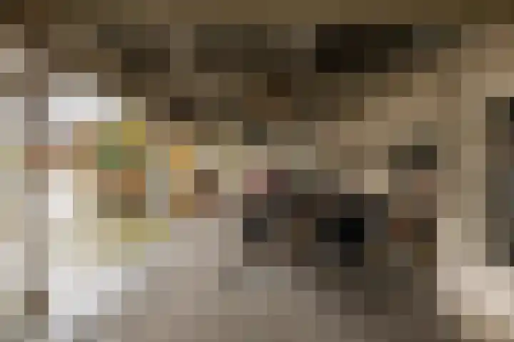 Hoendiep 300 Groningen thumbnail 56