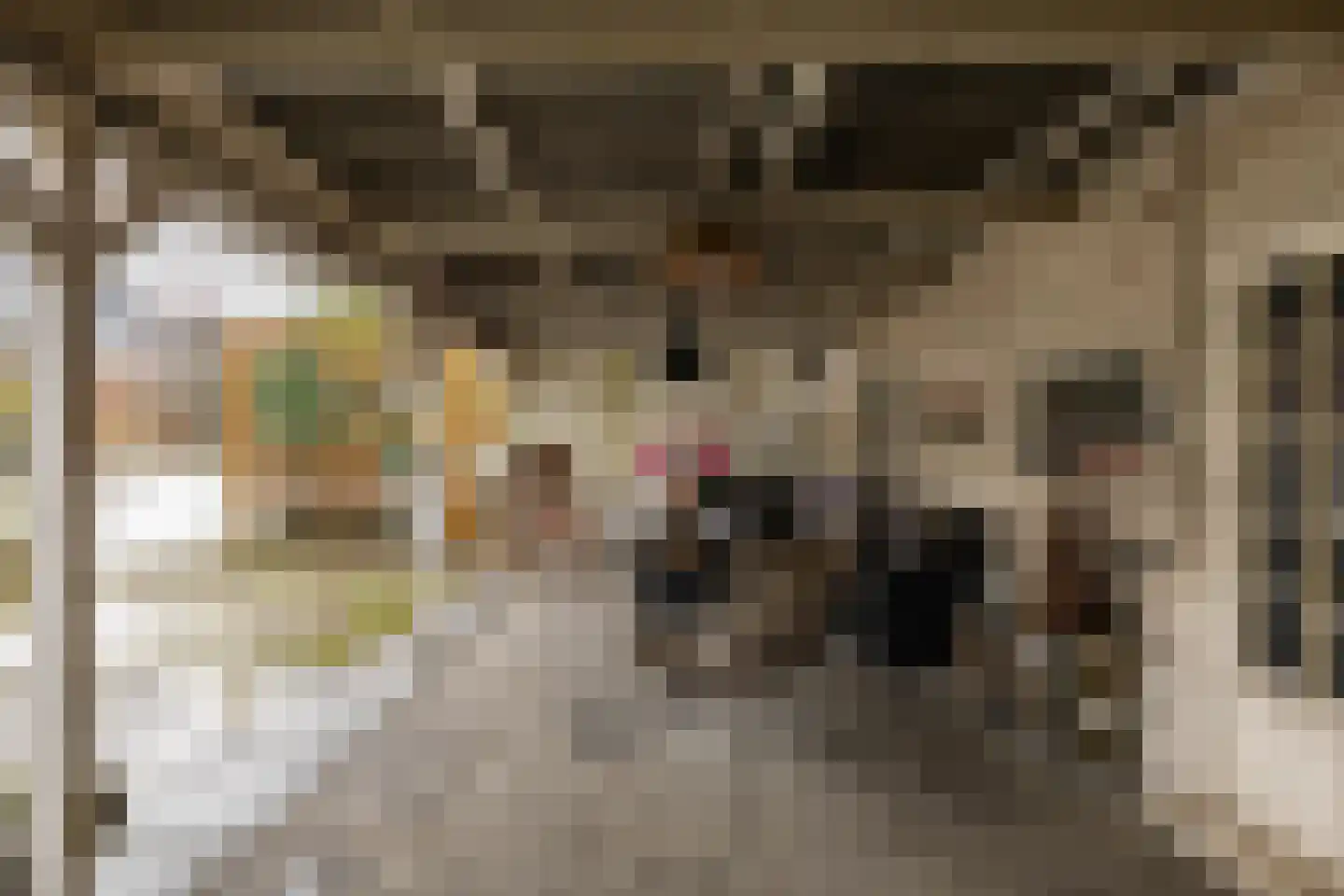 Hoendiep 300 Groningen thumbnail 56