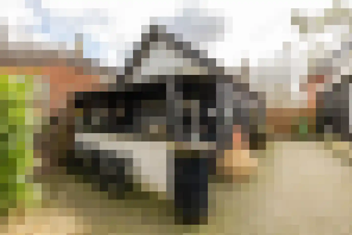 Hoendiep 300 Groningen thumbnail 57