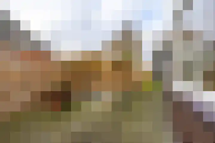 Hoendiep 300 Groningen thumbnail 59
