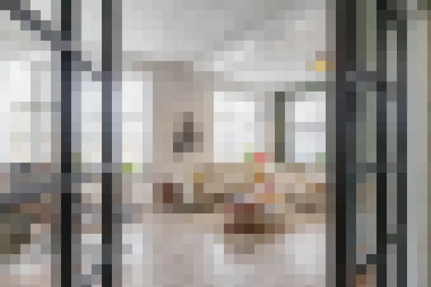 Hoendiep 300 Groningen thumbnail 8