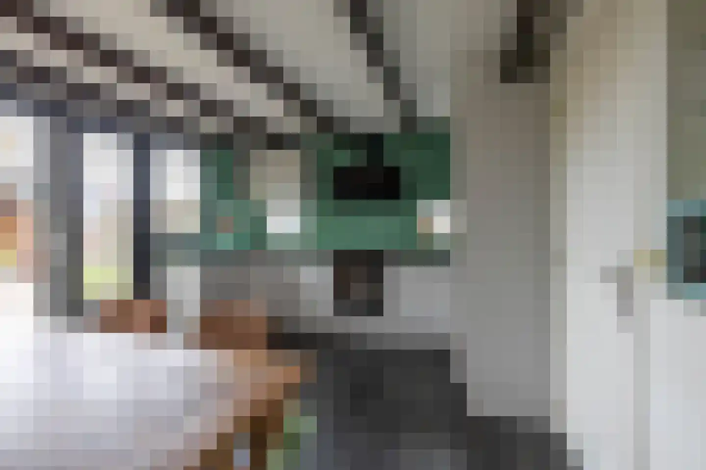 Hoendiep 304 Groningen thumbnail 13