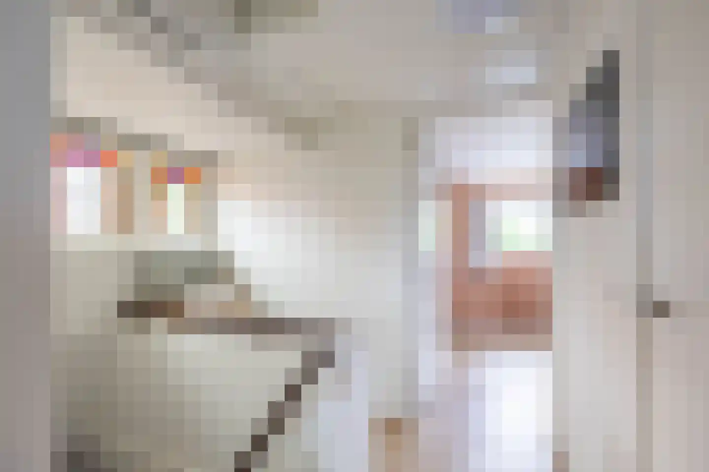 Hoendiep 304 Groningen thumbnail 25