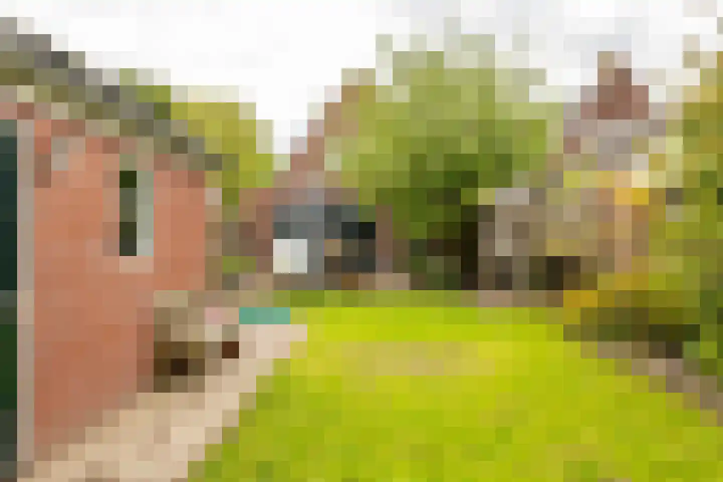 Hoendiep 304 Groningen thumbnail 52