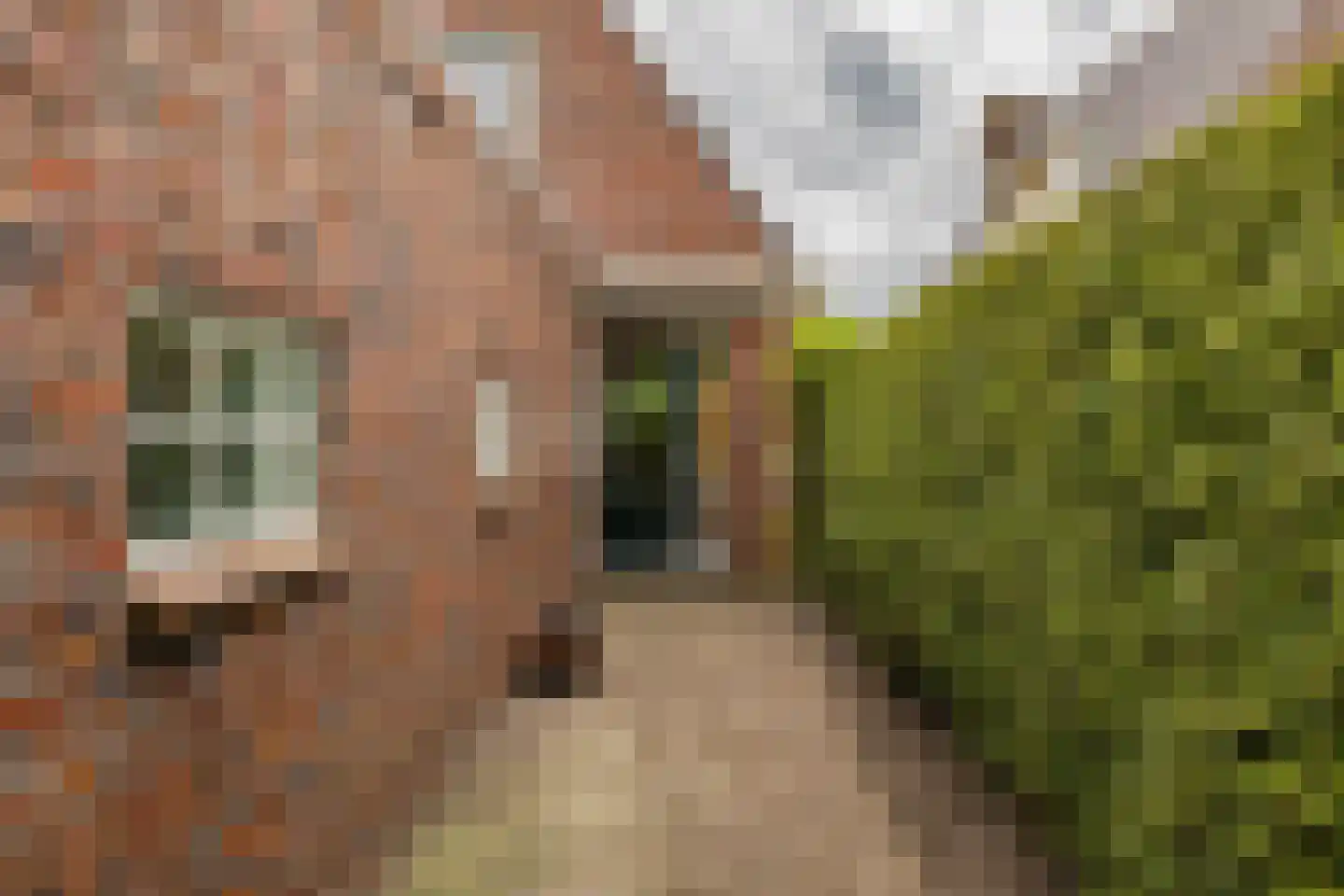 Hoendiep 304 Groningen thumbnail 54