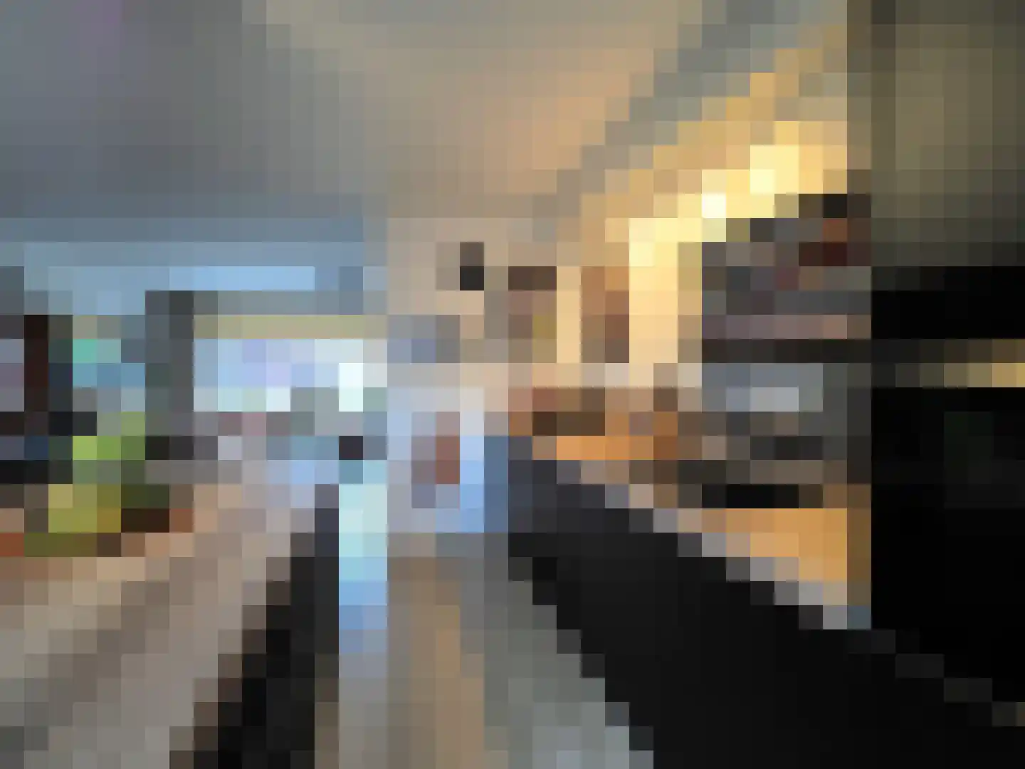Hoendiep 32 Dordrecht thumbnail 22