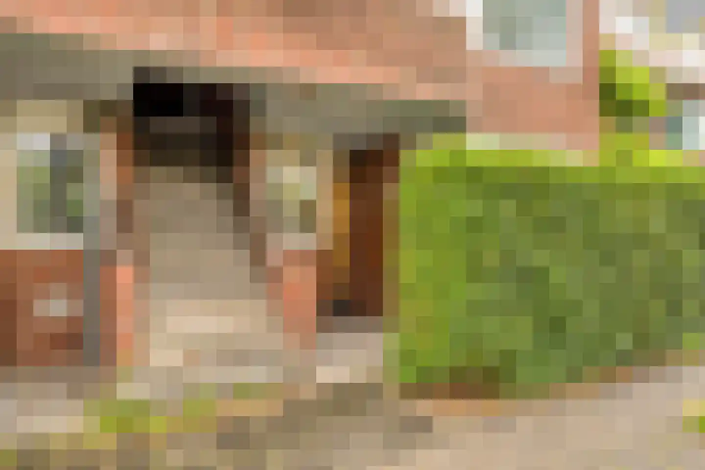 Hoendiep 47 Groningen thumbnail 10