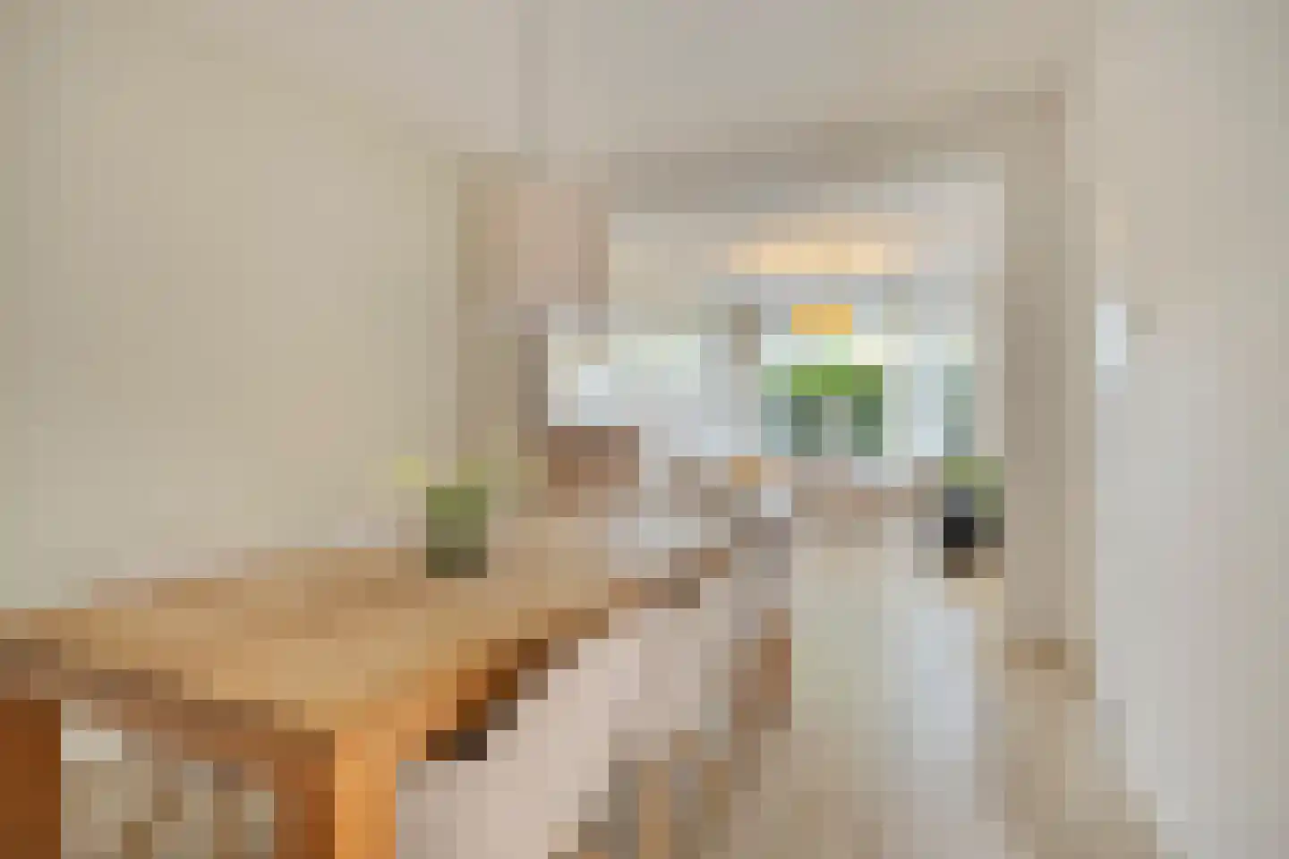 Hoendiep 47 Groningen thumbnail 19