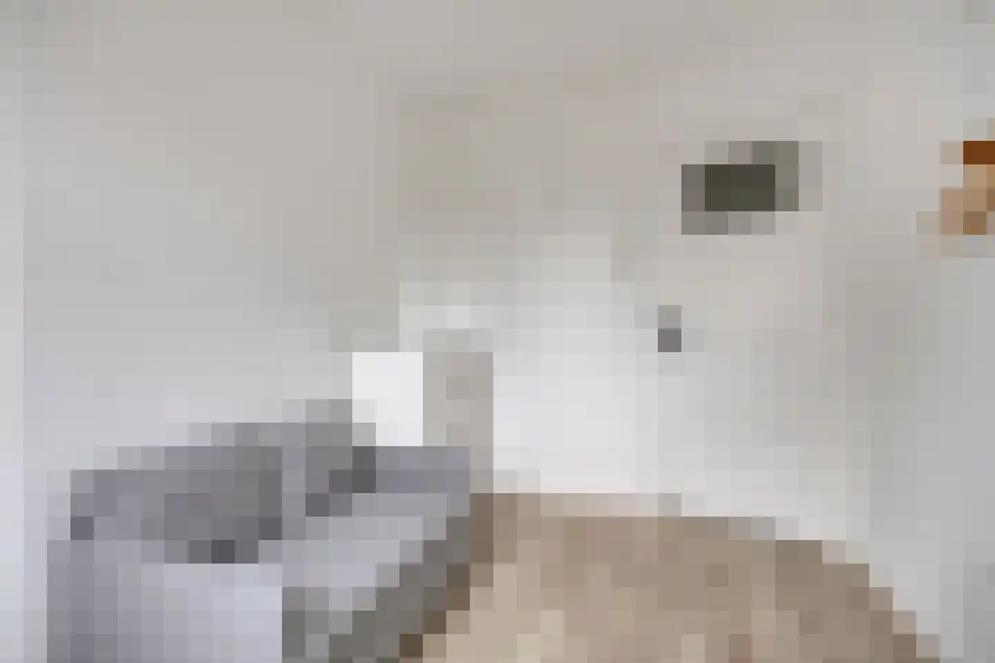 Hoendiep 47 Groningen thumbnail 34