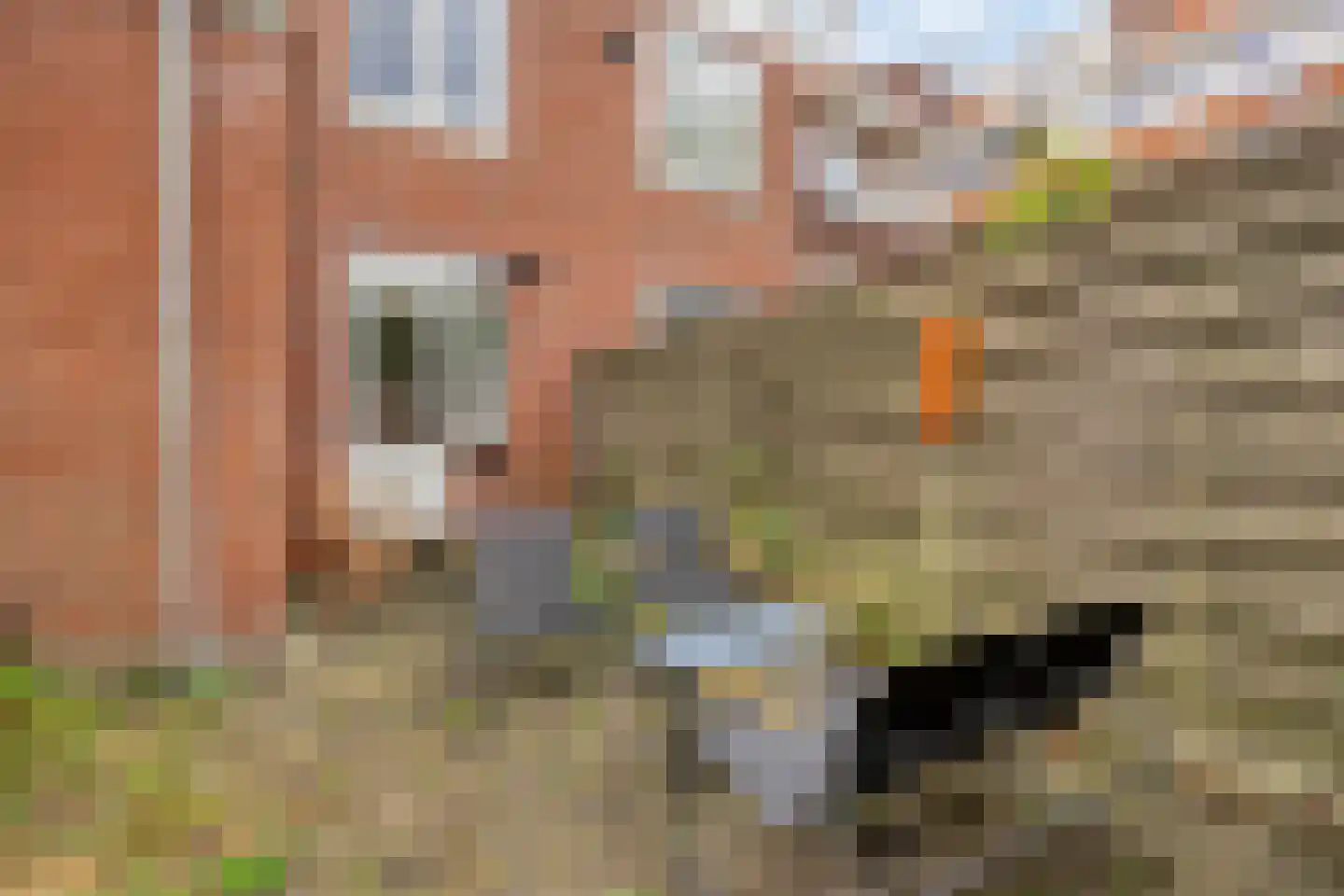 Hoendiep 47 Groningen thumbnail 38