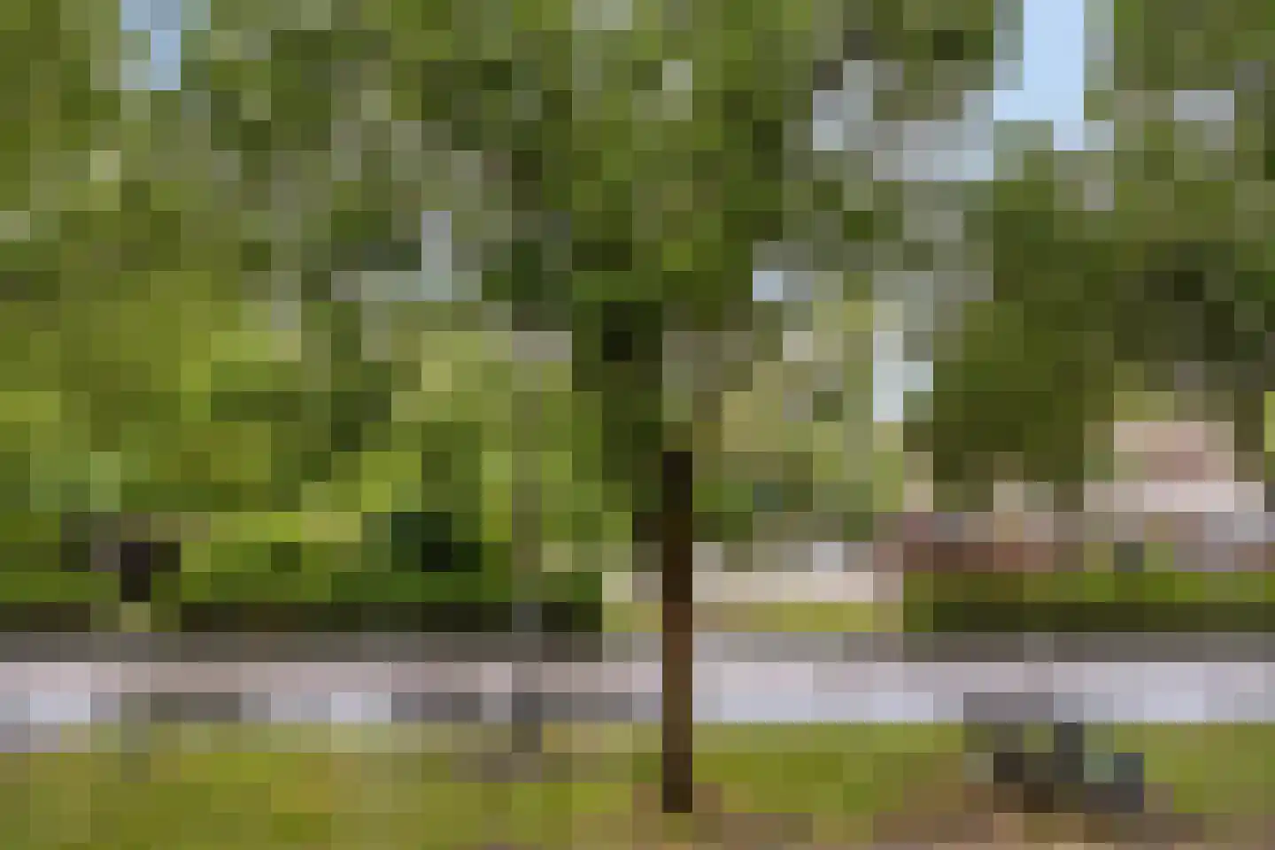 Hoendiep 59 a Groningen thumbnail 12