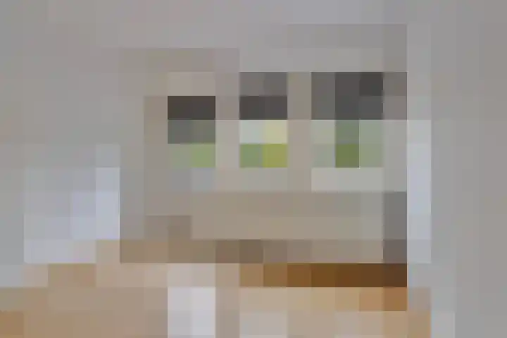 Hoendiep 83 Groningen thumbnail 26