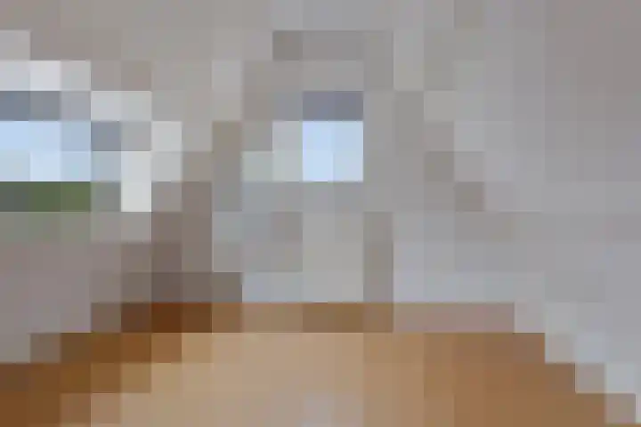 Hoendiep 83 Groningen thumbnail 32