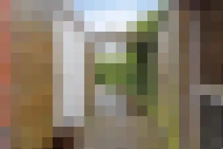 Hoendiep 83 Groningen thumbnail 36