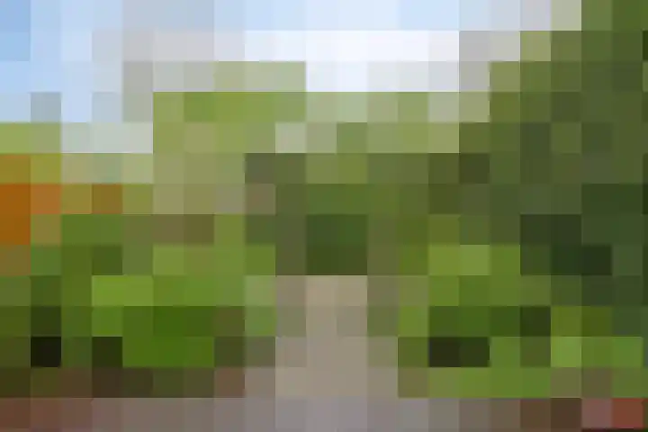 Hoendiep 83 Groningen thumbnail 38