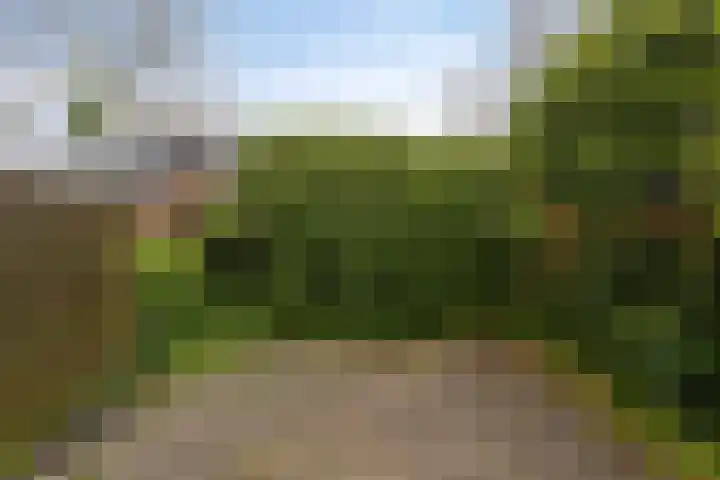 Hoendiep 83 Groningen thumbnail 39