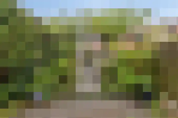 Hoendiep 83 Groningen thumbnail 40