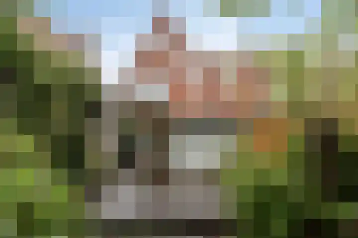 Hoendiep 83 Groningen thumbnail 41