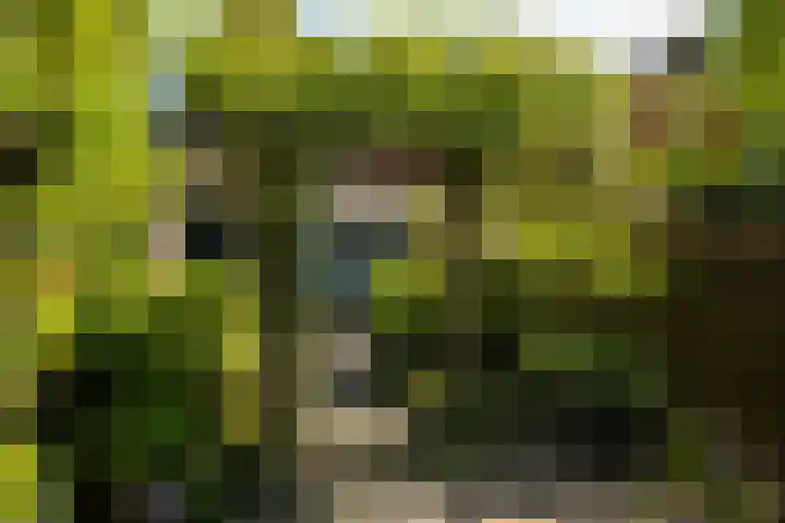 Hoendiep 83 Groningen thumbnail 48