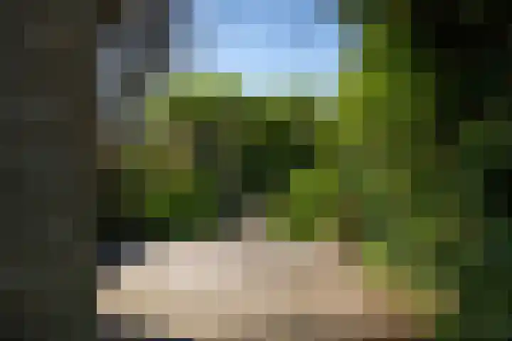 Hoendiep 83 Groningen thumbnail 49