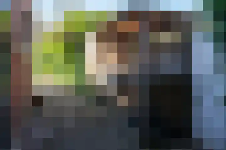 Hoendiep 83 Groningen thumbnail 50