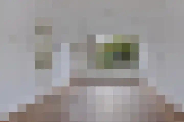 Hoendiep 83 Groningen thumbnail 9