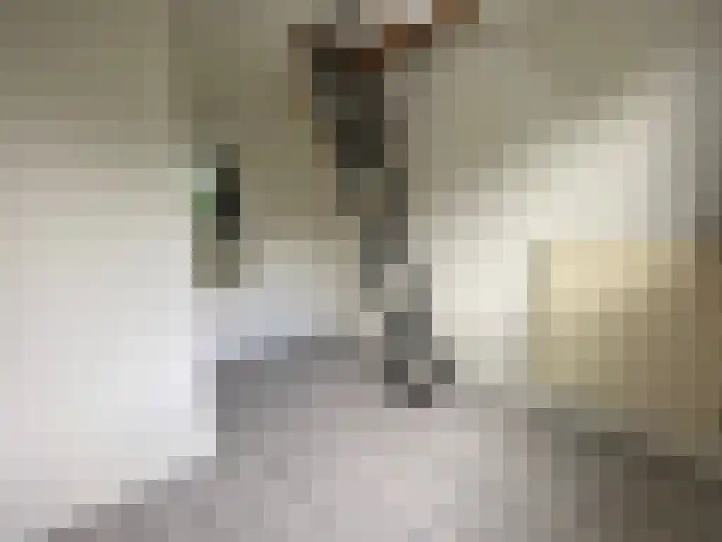 Hoendiep Groningen thumbnail 6