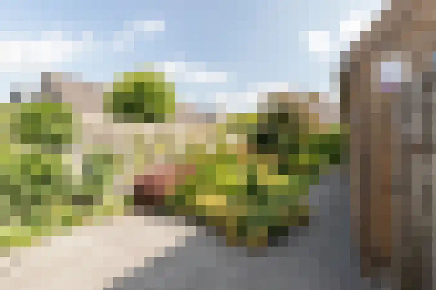 Hoendiep Oostzijde 21 Briltil thumbnail 12