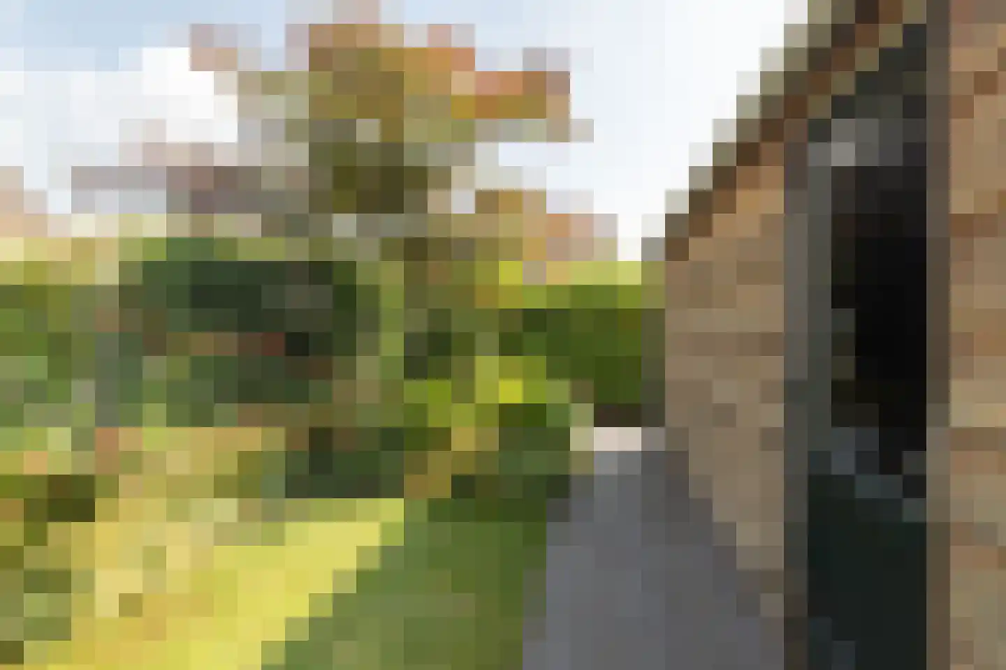 Hoendiep Oostzijde 21 Briltil thumbnail 14