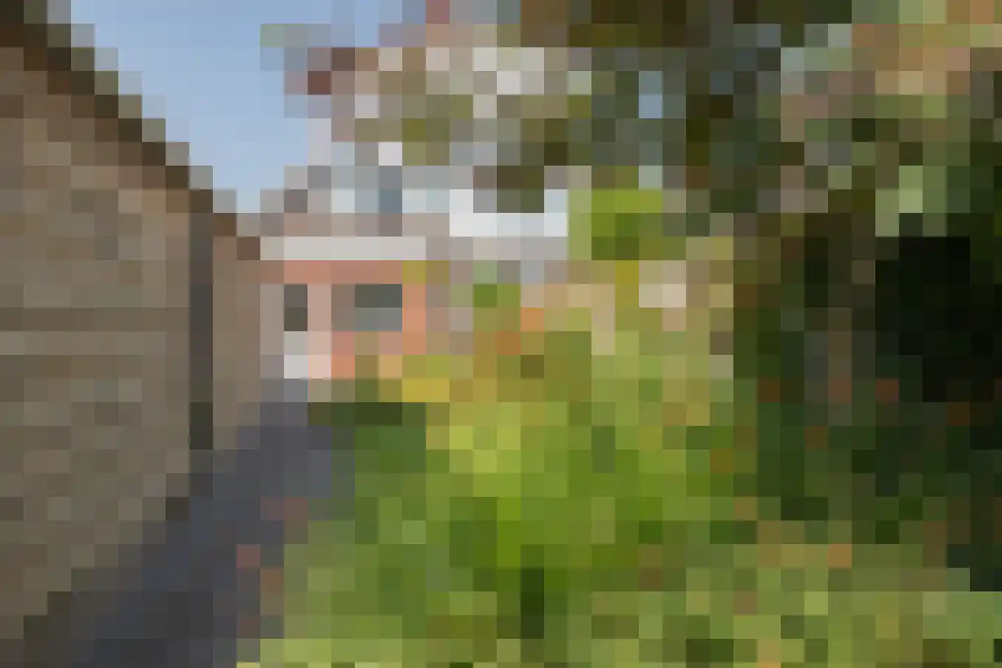 Hoendiep Oostzijde 21 Briltil thumbnail 16