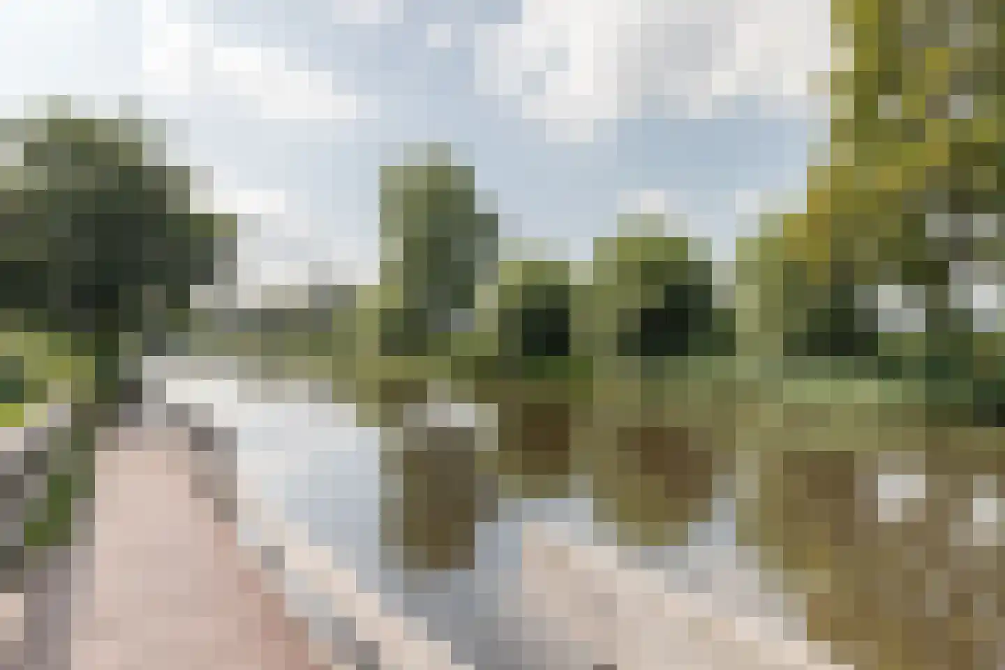 Hoendiep Oostzijde 21 Briltil foto 3