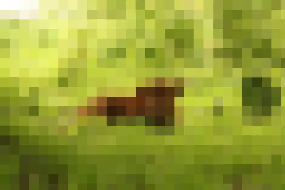 Hoendiep Oostzijde 21 Briltil thumbnail 36