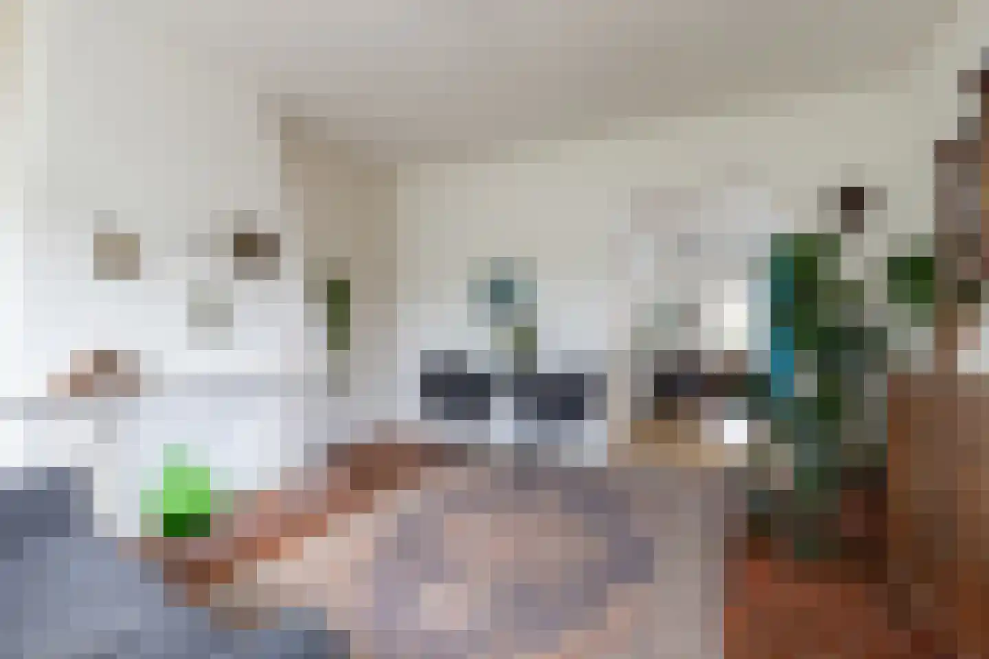 Hoendiep Oostzijde 21 Briltil thumbnail 9