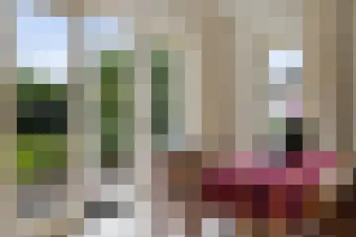Hoendiep Oostzijde 37 Briltil thumbnail 17