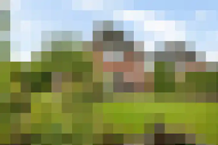 Hoendiep Oostzijde 37 Briltil thumbnail 29