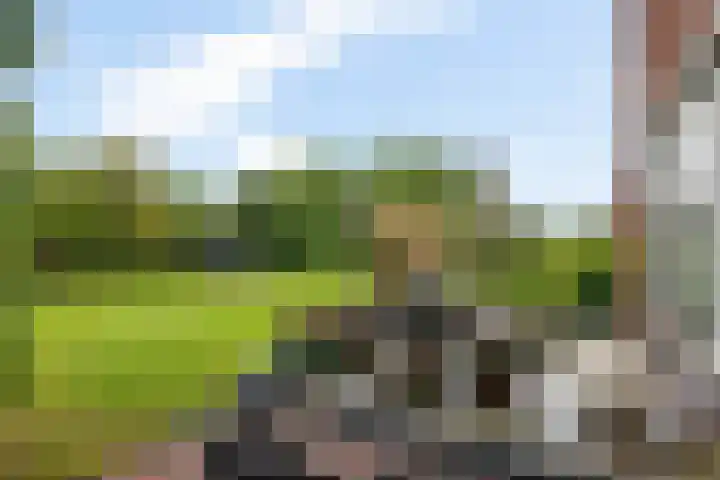 Hoendiep Oostzijde 37 Briltil thumbnail 30