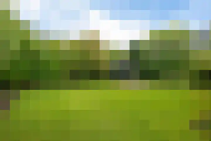 Hoendiep Oostzijde 37 Briltil thumbnail 31